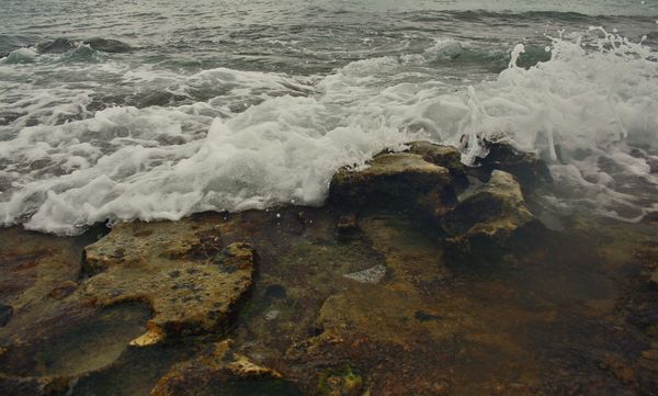 Ombak Tanjung Setia, Kepuasan para Surfer Dunia