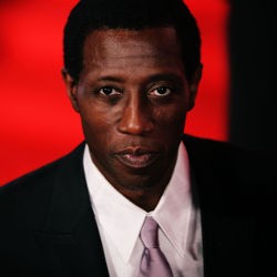 Mangkir Bayar Pajak, Wesley Snipes Dipenjara 3 Tahun