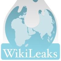  Diduga Ikut Bela WikiLeaks, Remaja 16 Tahun Ditangkap