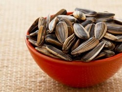 Kuaci Bisa Pertajam Daya Ingat