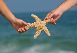 Bintang Laut Bisa Jadi Obat Asma