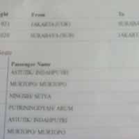 Citilink Menggemaskan 