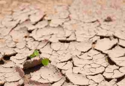 Perubahan Iklim Memunculkan Banyak Wabah Penyakit