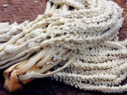 Keistimewaan Gudeg Manggar Yogya