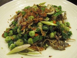 Kepincut Pedasnya Teri Sibolga