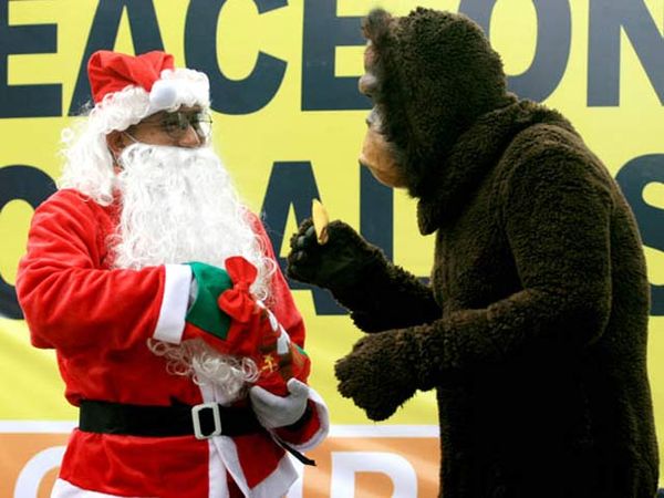 Sinterklas Berbagi Pisang dengan Orangutan