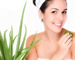 Hilangkan Zat Beracun Dalam Tubuh dengan Lidah Buaya