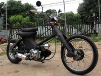 Cangcorang Peminum Bensin