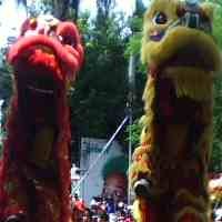Parade Barongsai Ramaikan Setahun Peringatan Gus Dur