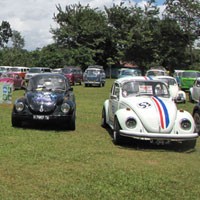 Jangan Ekspor atau Kanibal VW Tua