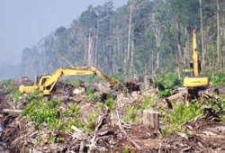 Kemhut Serahkan Rencana Aksi Penanggulangan Penggunaan Lahan Hutan 