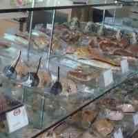 Toko-toko Roti di Surabaya Tawarkan Sajian Natal