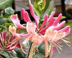 Ini Dia Trend Warna Fashion dan Beauty 2011!