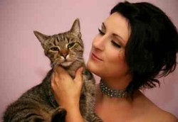 Cacing Pita Bisa Menular Saat Membelai Kucing