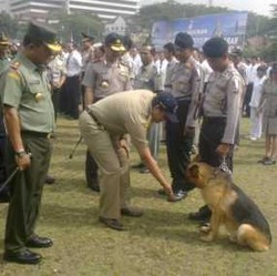 Tangan Wagub Dijilat Anjing Pelacak
