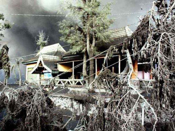 Denyut Ekonomi di Bromo Berhenti