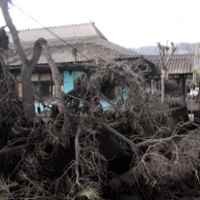 Pemerintah akan Bangun Tandon Air Bersih di 12 Desa Sekitar Bromo