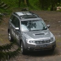 Sensasi Reli Subaru Forester