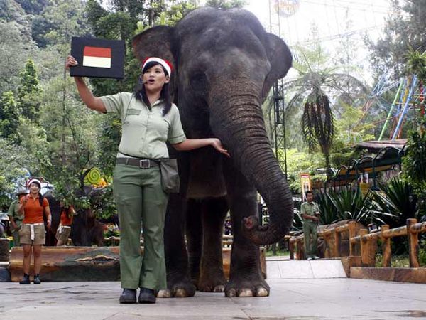 Gajah Atik Prediksi Indonesia Menang