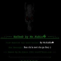 Hacker Vietnam pun Serang Situs Malaysia
