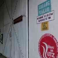 Ratusan Monyet Misterius di Gudang Kakao PTPN XII Ngrangkah Sepawon