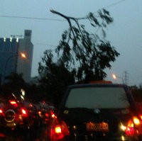 Imbas Hujan Lebat dan Pohon Tumbang, Kemacetan Jakarta Merata
