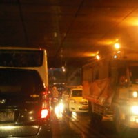  Banyak Pohon Tumbang, Lalin ke Pondok Indah Macet Total 