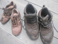 12 Cara Menikmati Tanjung Puting Lebih Menyenangkan