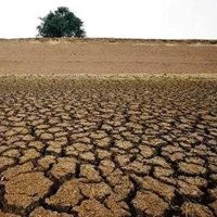 Hutan Adalah Otot Peradaban Bangsa