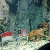 Gurita Gudel Pilih Indonesia Jadi Pemenang Final Piala AFF