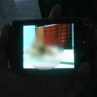 Video Mesum Keraton Bergoyang Hebohkan Sumenep 