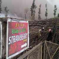 Lahan Pertanian Rusak, Kerugian Capai Rp 28 Miliar