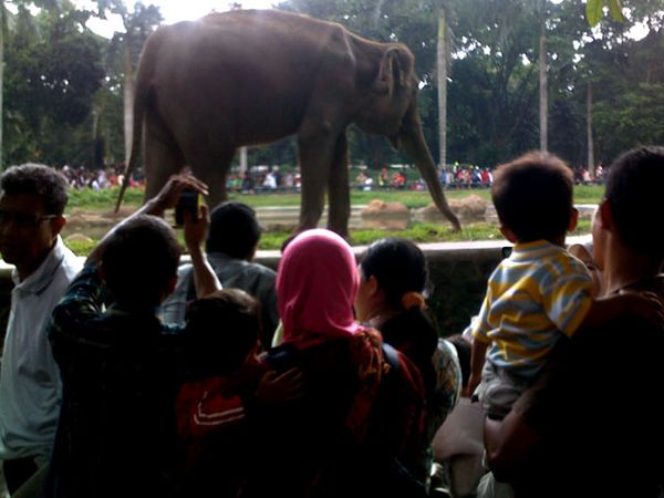 Liburan Murah Meriah di Ragunan