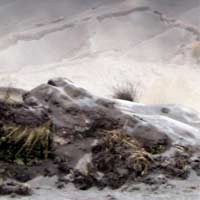 Legenda Watu Singa di Lautan Pasir Gunung Bromo