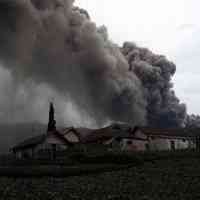 Jual Beli Sapi Warga Bromo Disaksikan Gubernur