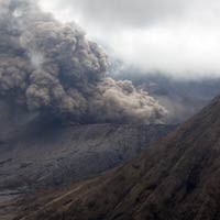 Tim SAR Pasuruan Bagikan Masker ke Wisatawan Tosari