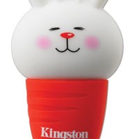 Sambut 2011 dengan Flashdisk Kelinci