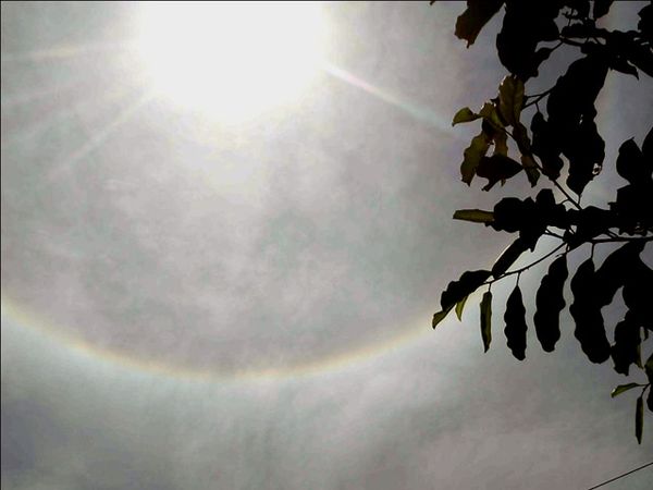 Matahari Halo di Yogyakarta