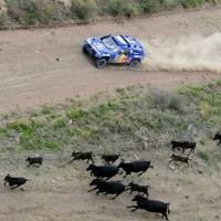 Sainz Perlebar Jarak