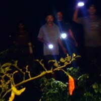 Bersenjatakan Celurit, Puluhan Petani Jaga Tanaman Cabai