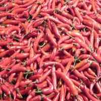 Harga Cabai Naik, Pengusaha Diminta Batasi Pengiriman Keluar