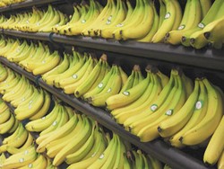 Pisang Bisa Atasi Anemia