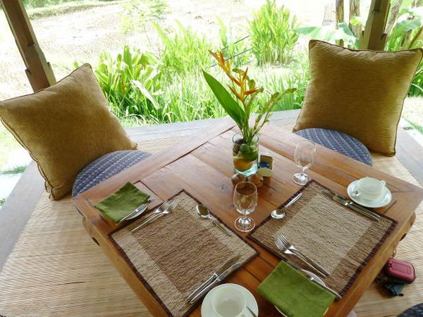 Menikmati Picnic Lunch di Pinggir Sawah