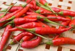 Cabai Tidak Sekedar Pedas Tapi Ada Manfaat Kesehatannya