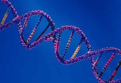 Kenapa Ada Kanker yang Berkembang Cepat?