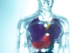 Cara Mencegah Agar Hati Tidak Rusak