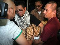 Selamat Jalan Elfa Secioria