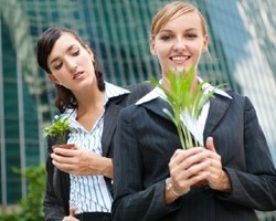 Hindari Stres Dengan Meletakkan Tanaman di Dalam Kantor