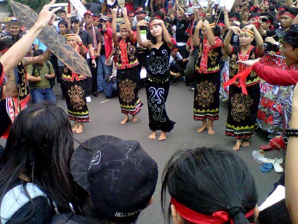 Warga Dayak Kecam Sosiolog UI