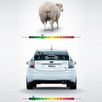 Polusi Domba Lebih Banyak Ketimbang Mobil Prius